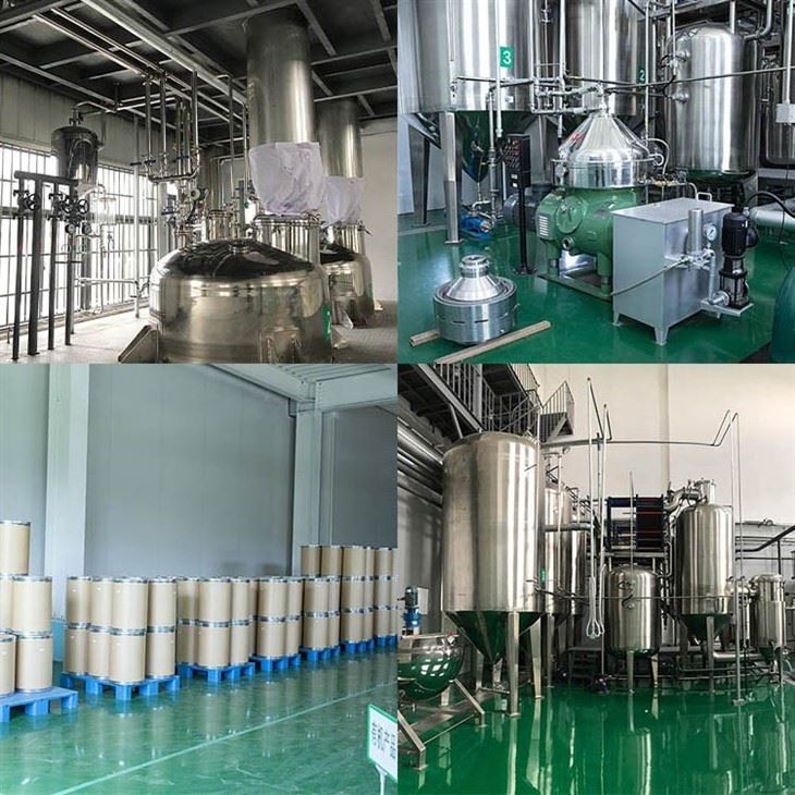 Persimmon Extract Powder factory